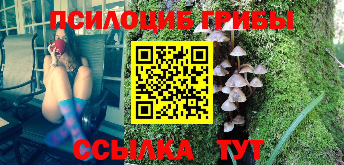Галлюциногенные грибы мухоморы  Вход с VPN  Псилоцибиновые грибы мухоморы  Мичуринск 