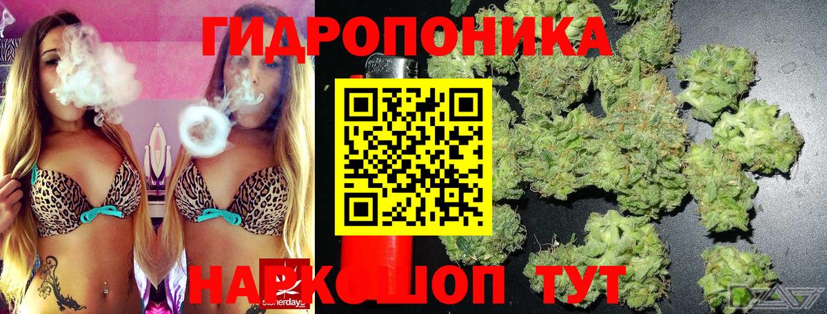 Бошки марихуана индика Мичуринск